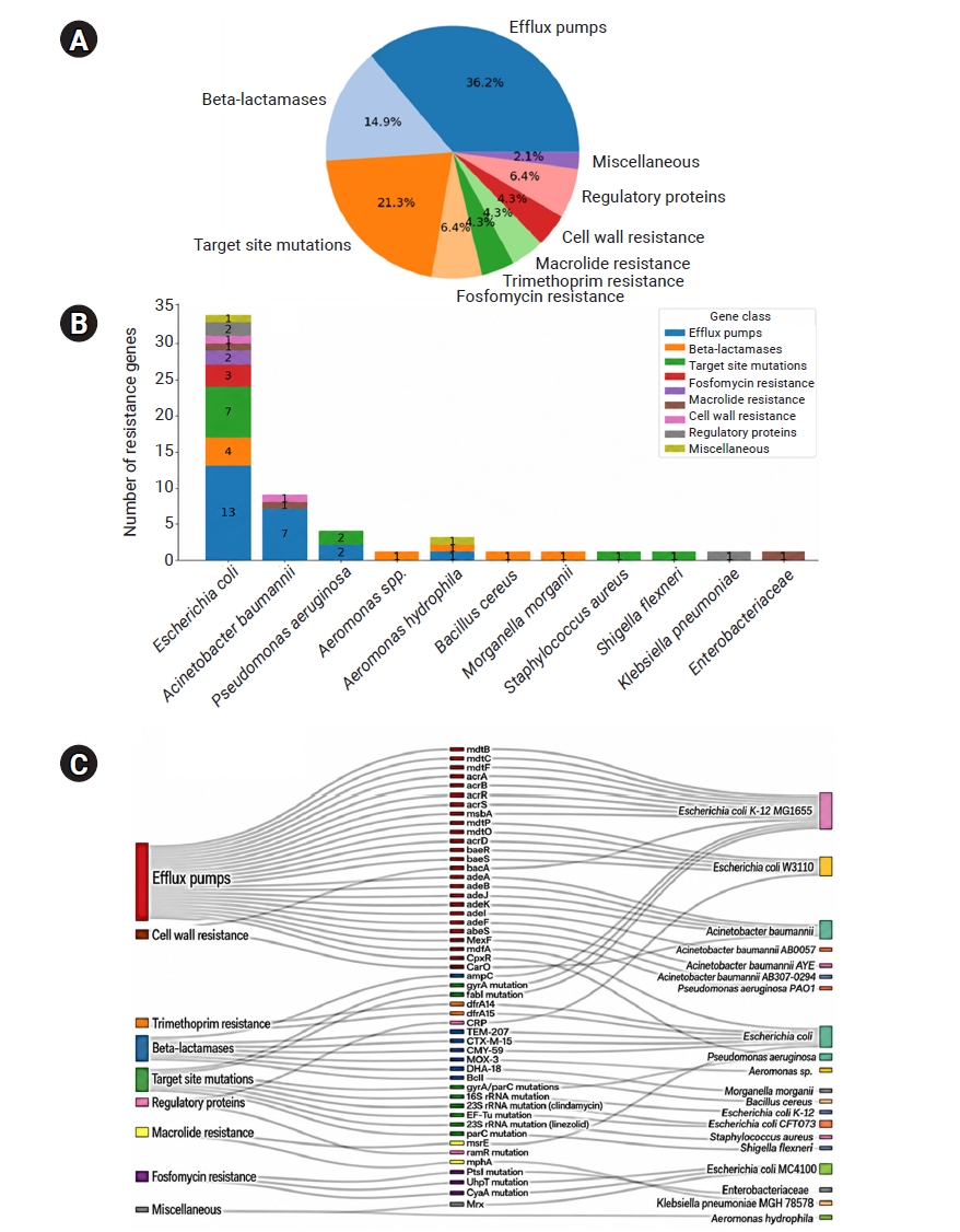 Objectives: This study characterized multidrug-resistant (MDR) bacteria in sewage, river, and marine ecosystems in South Gujarat, India. Methods: Water samples were collected from 25 hospital drainage, sewage treatment/pumping, Tapi River, and coasta