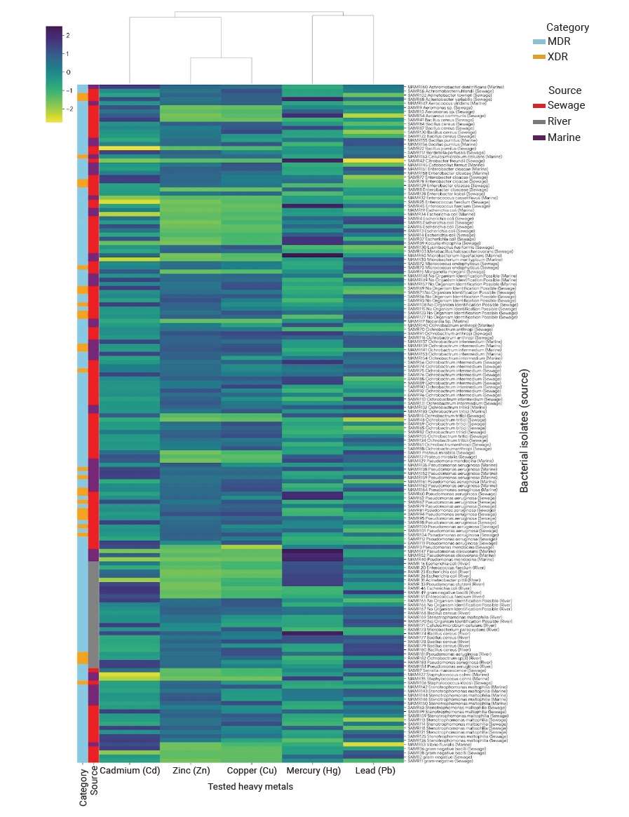 Objectives: This study characterized multidrug-resistant (MDR) bacteria in sewage, river, and marine ecosystems in South Gujarat, India. Methods: Water samples were collected from 25 hospital drainage, sewage treatment/pumping, Tapi River, and coasta