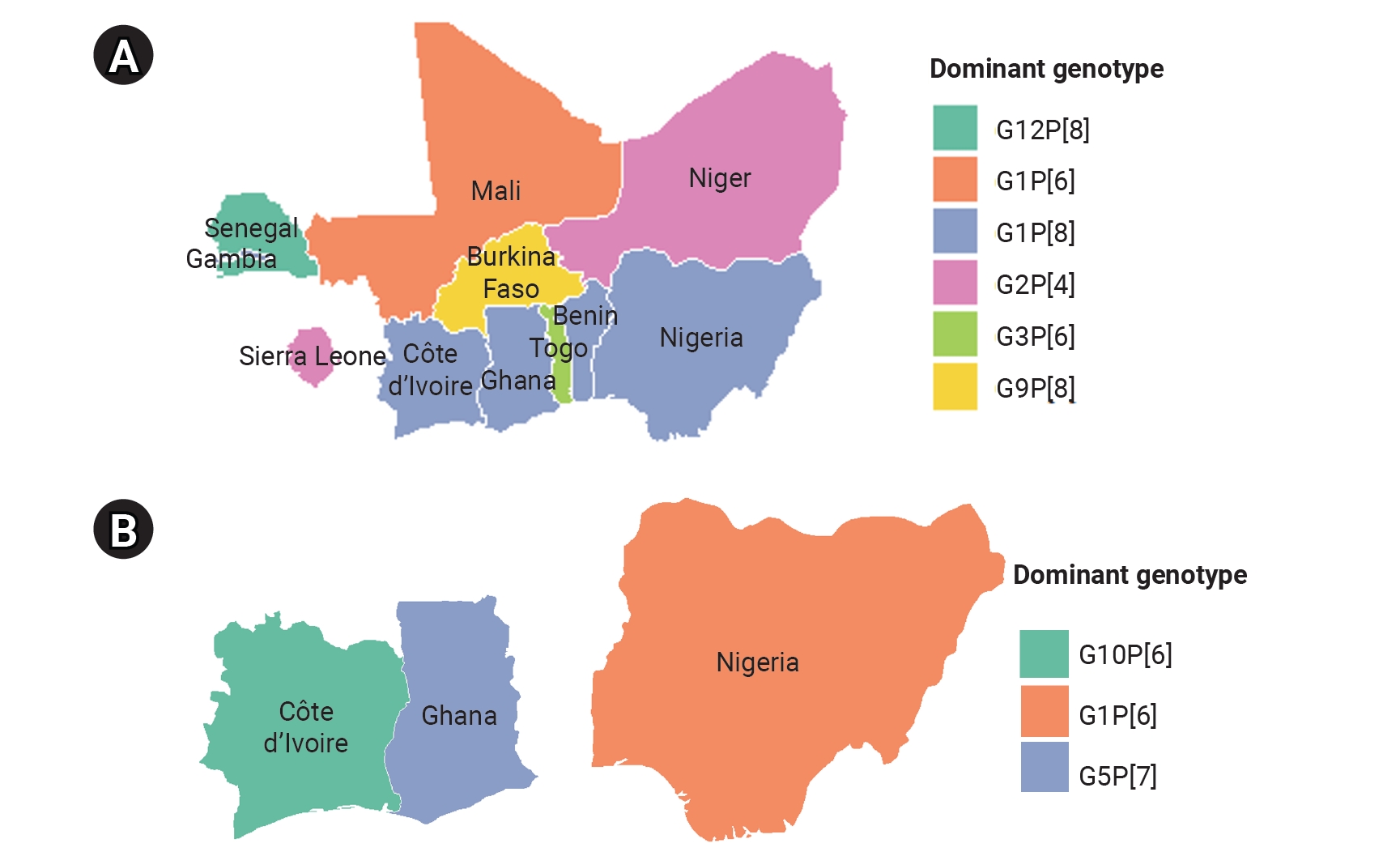 Objectives: To systematically review and meta-analyze the prevalence and genetic diversity of rotavirus A (RVA) in humans, animals, and environmental water samples in West Africa and to describe its geographic distribution and circulation patterns. M