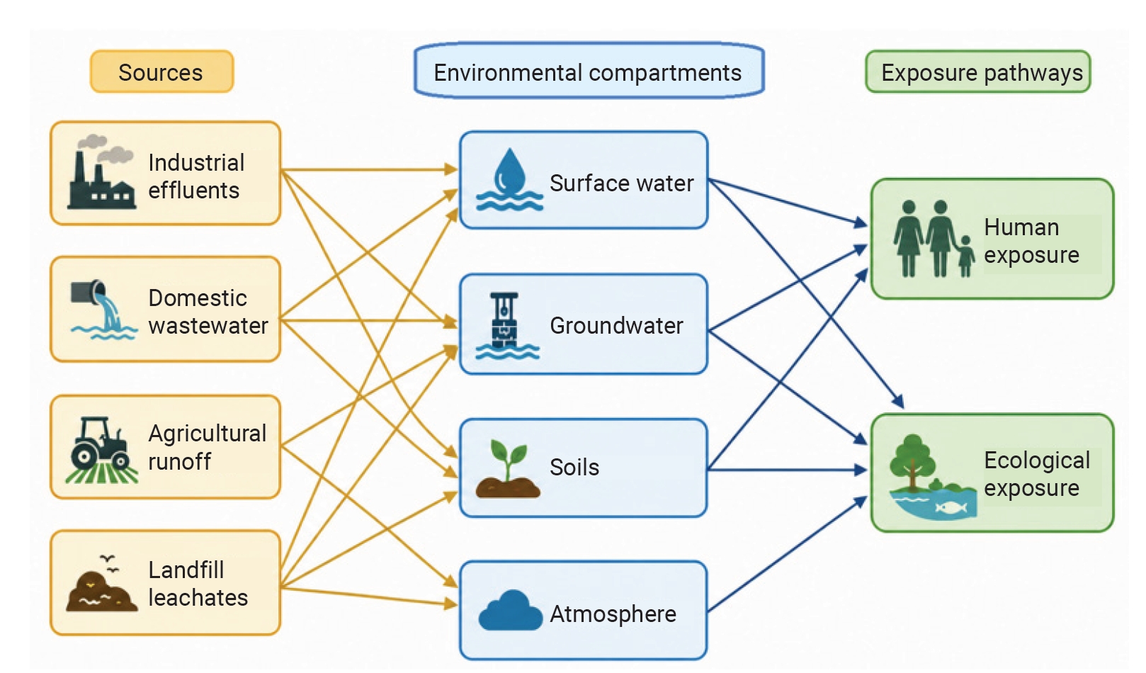 Sources and pathways by which emerging contaminants enter and move through the environment.