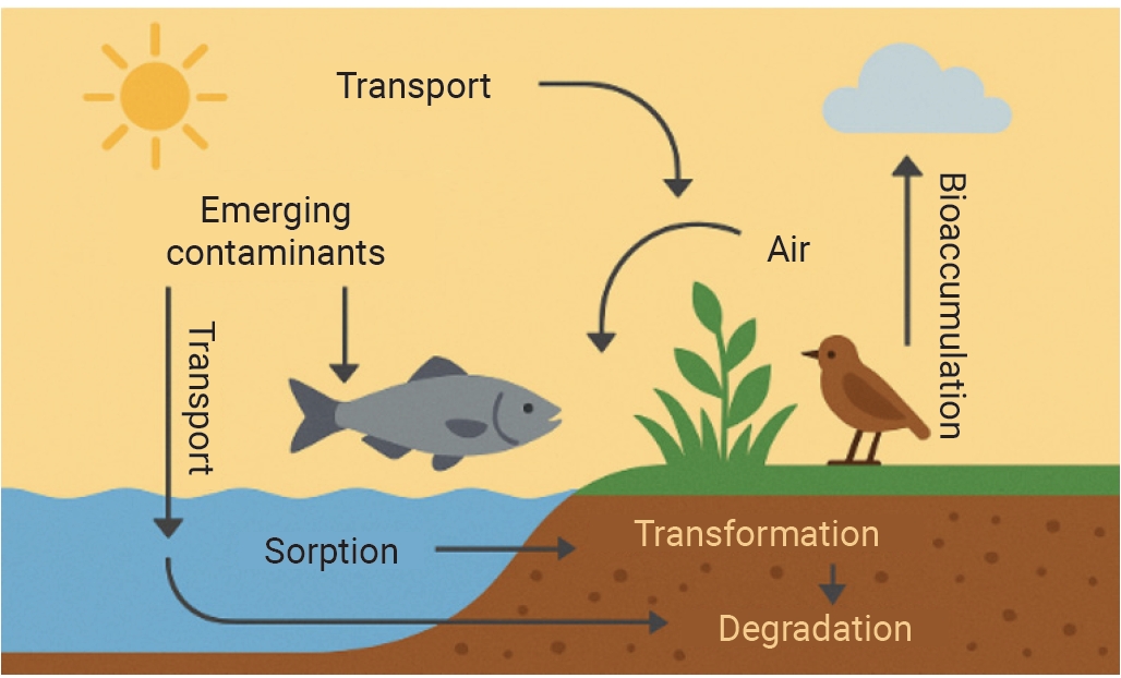 Conceptual diagram of the environmental fate and transport of emerging contaminants.