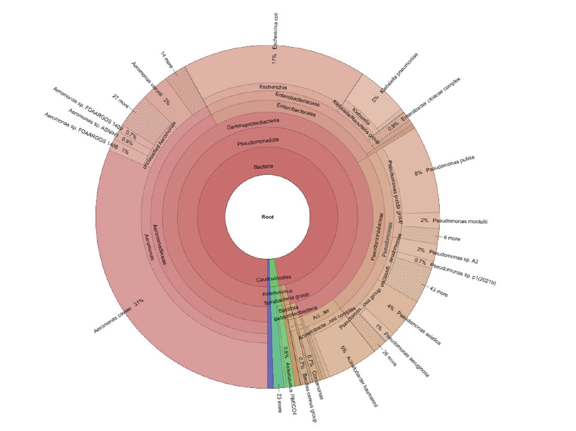 Hierarchical taxonomic distribution and relative abundance of bacterial taxa. The Krona multilayered pie chart illustrates the taxonomic composition of the microbial community and represents nested hierarchies from phylum-level assignments (inner cir