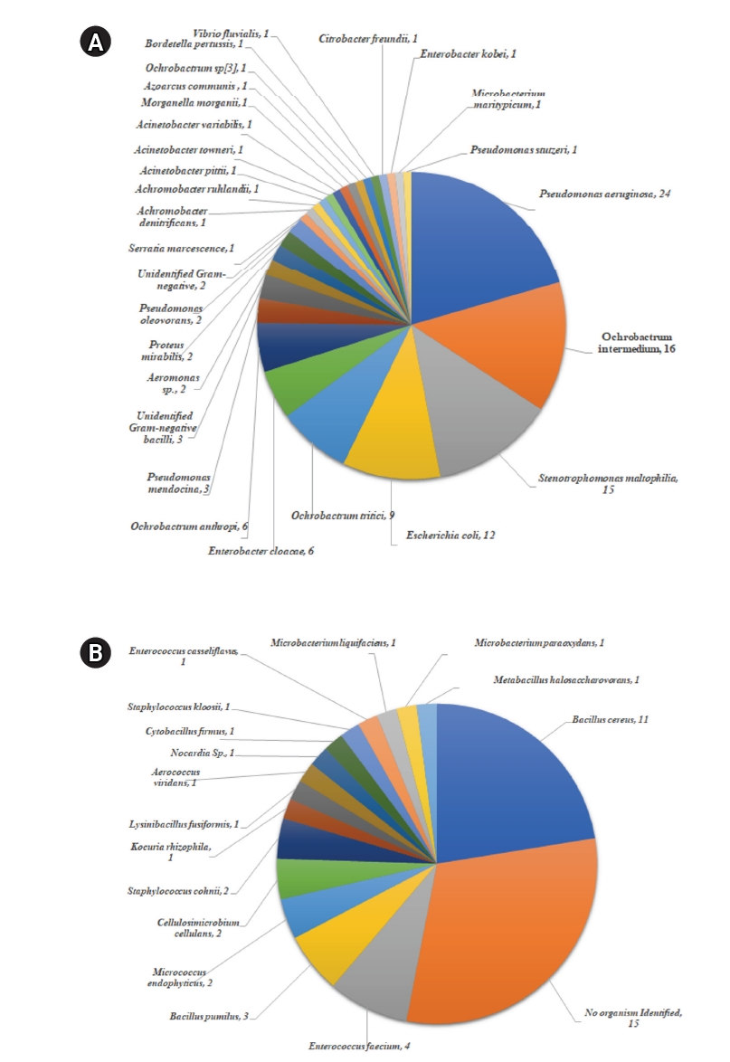 Distribution and frequency of (A) Gram-negative bacterial species and (B) Gram-positive bacterial species and unidentified isolates identified by matrix-assisted laser desorption/ionization time-of-flight mass spectrometry. Values represent the absol